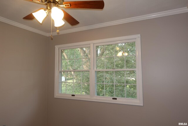 30 Hackberry Cir, Galesburg, IL 61401 - photo 52