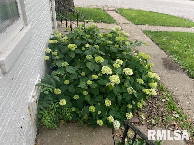 930 N 8th St, Springfield, IL 62702 - photo 23