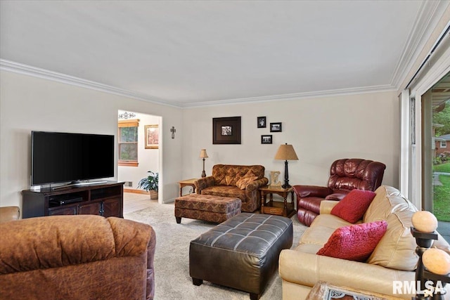 2054 Cambridge Rd, Springfield, IL 62704 - living area with ornamental molding