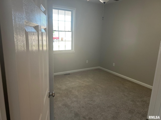 910 E Heights Ave, Taylorville, IL 62568 - photo 4