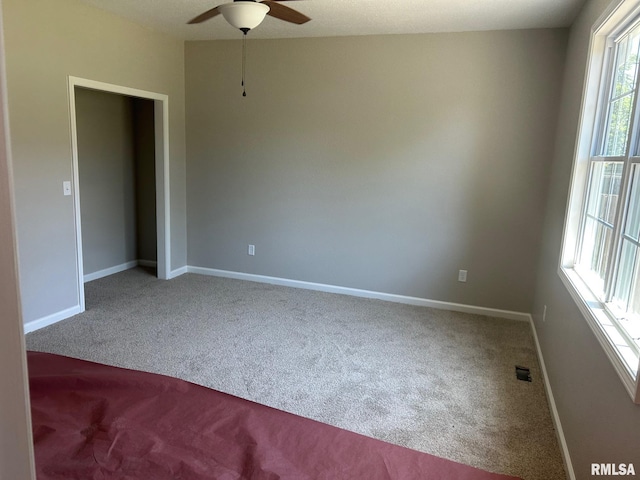 910 E Heights Ave, Taylorville, IL 62568 - photo 5