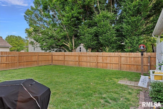 122 W Chapin St, Litchfield, IL 62056 - view of yard