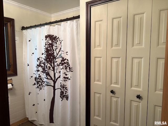 100 Fulton St, Oquawka, IL 61469 - bathroom featuring ornamental molding and a shower with shower curtain