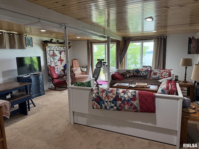 100 Fulton St, Oquawka, IL 61469 - living area with light carpet