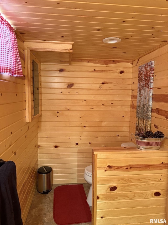 100 Fulton St, Oquawka, IL 61469 - relaxing sauna / steam room featuring wooden walls and wooden ceiling