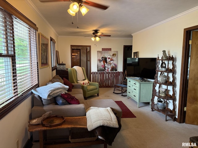 100 Fulton St, Oquawka, IL 61469 - living room with ceiling fan, light colored carpet, and crown molding