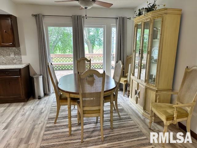 279 Athensville Rd, Roodhouse, IL 62082 - photo 11