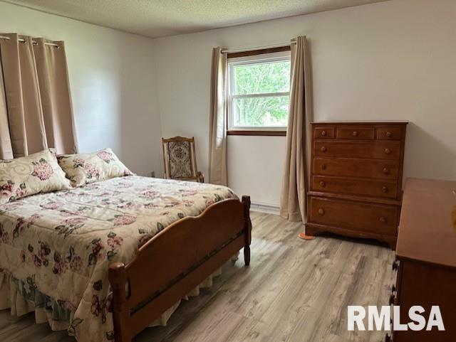 279 Athensville Rd, Roodhouse, IL 62082 - photo 15