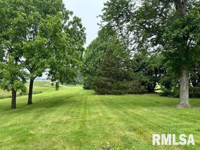279 Athensville Rd, Roodhouse, IL 62082 - photo 32