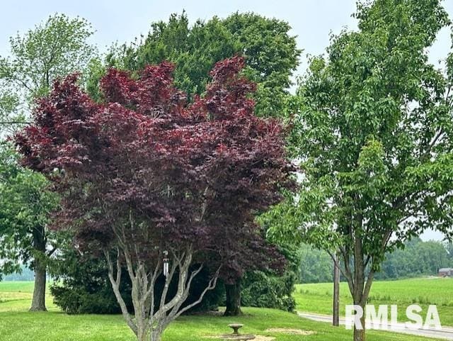 279 Athensville Rd, Roodhouse, IL 62082 - photo 37