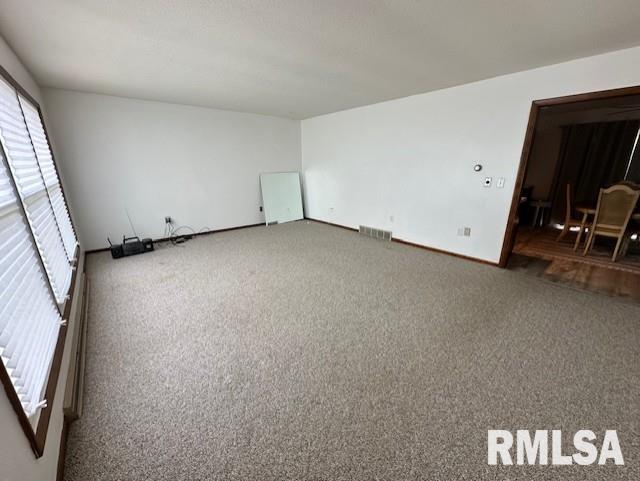 279 Athensville Rd, Roodhouse, IL 62082 - photo 5