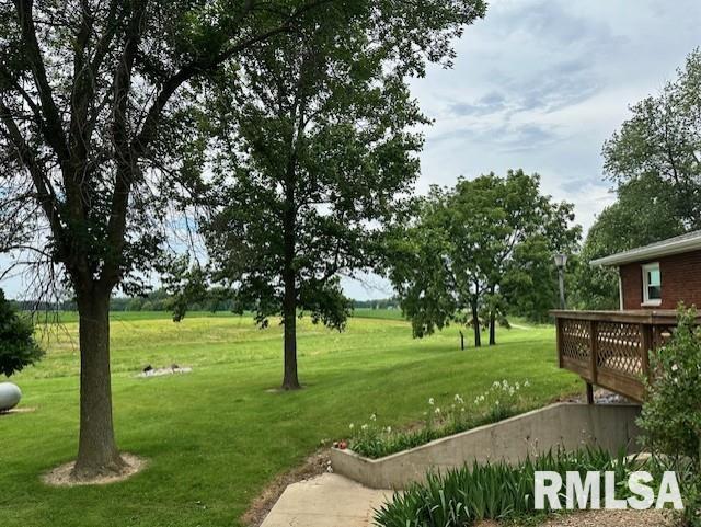 279 Athensville Rd, Roodhouse, IL 62082 - photo 48
