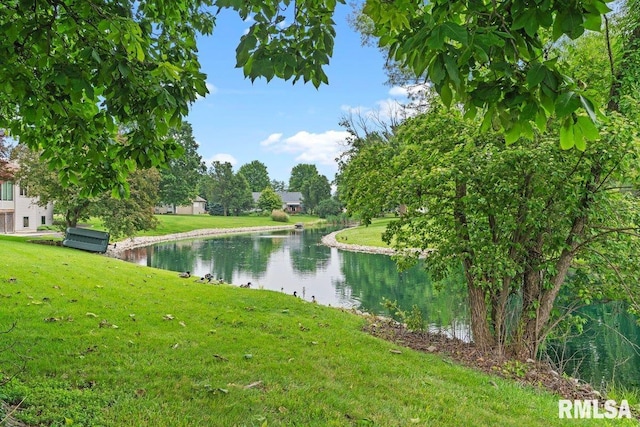 136 Lilac Ln, Chatham, IL 62629 - water view