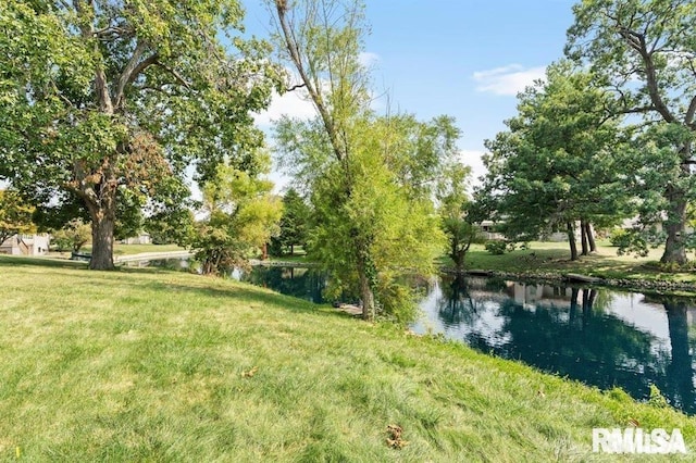 136 Lilac Ln, Chatham, IL 62629 - view of green lawn featuring a water view
