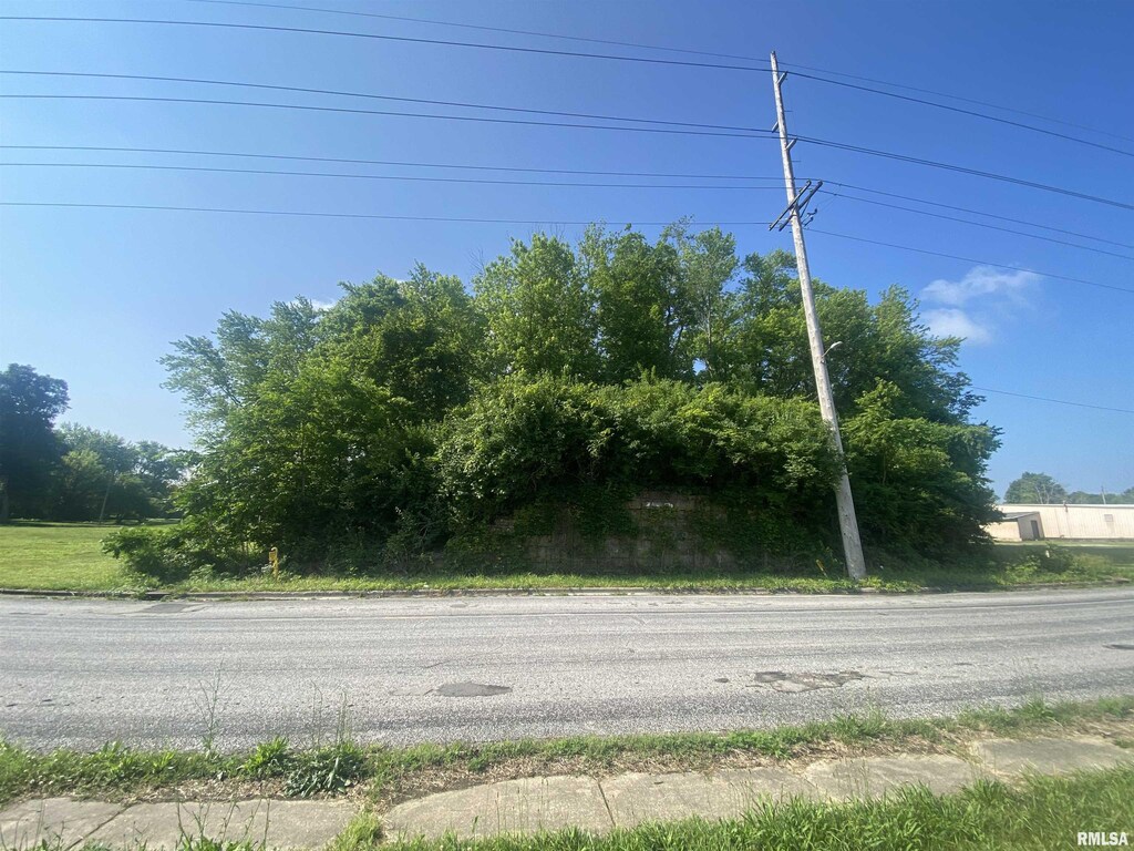 None None Avenue, Jacksonville, IL 62650 - photo 1