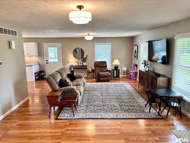 2900 Old State Rd, Alexander, IL 62601 - living room with a textured ceiling, plenty of natural light, light wood finished floors, and baseboards