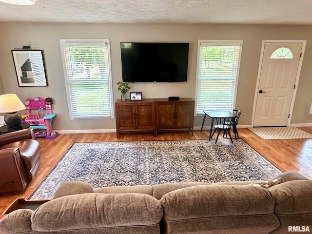 2900 Old State Rd, Alexander, IL 62601 - living room with wood finished floors and baseboards