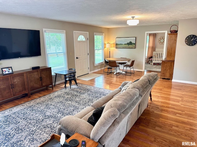 2900 Old State Rd, Alexander, IL 62601 - living area featuring wood finished floors, a textured ceiling, and baseboards