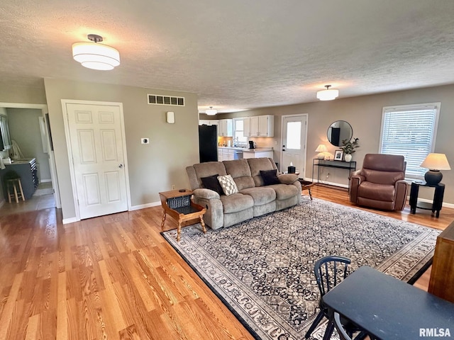 2900 Old State Rd, Alexander, IL 62601 - living area featuring a textured ceiling, light wood finished floors, and baseboards