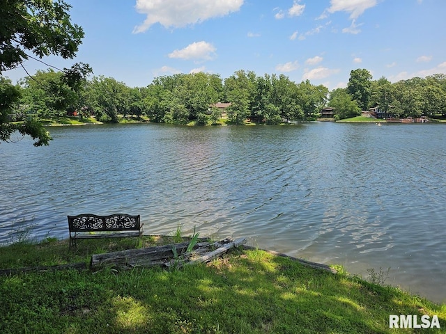 12862 Winnebago Dr, Plainview, IL 62685 - water view