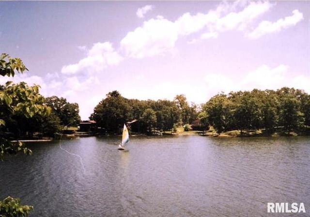 12862 Winnebago Dr, Plainview, IL 62685 - water view