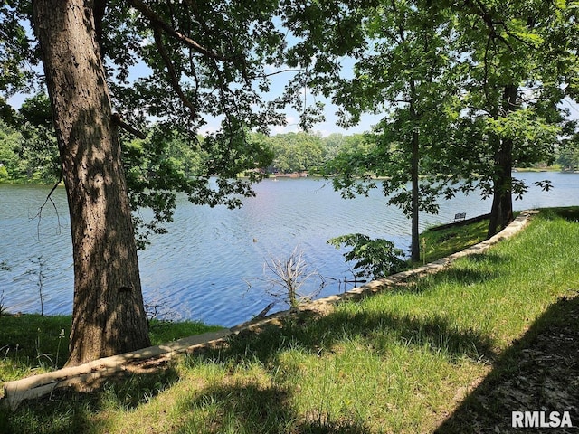 12862 Winnebago Dr, Plainview, IL 62685 - water view