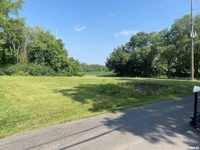 619-621 Hooker St, Jacksonville, IL 62650 - photo 4