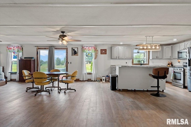 14455 E Dutch Henry Rd, Lewistown, IL 61542 - dining area featuring wood finished floors, plenty of natural light, and ceiling fan