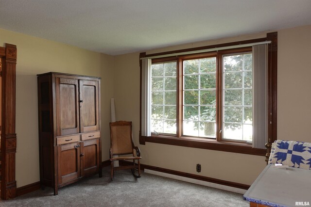 941 E Knox St, Galesburg, IL 61401 - photo 11