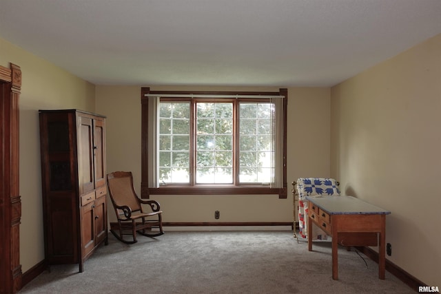 941 E Knox St, Galesburg, IL 61401 - photo 9