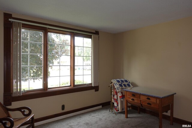 941 E Knox St, Galesburg, IL 61401 - photo 10