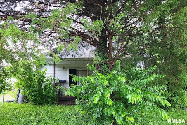 728 E Illinois Ave, Carterville, IL 62918 - photo 2