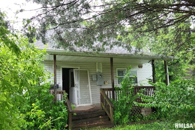 728 E Illinois Ave, Carterville, IL 62918 - photo 3