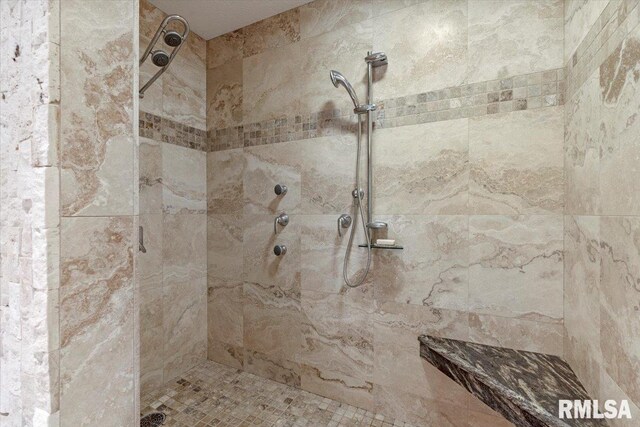 9 Windfall Ln, Cantrall, IL 62625 - full bathroom featuring a tile shower