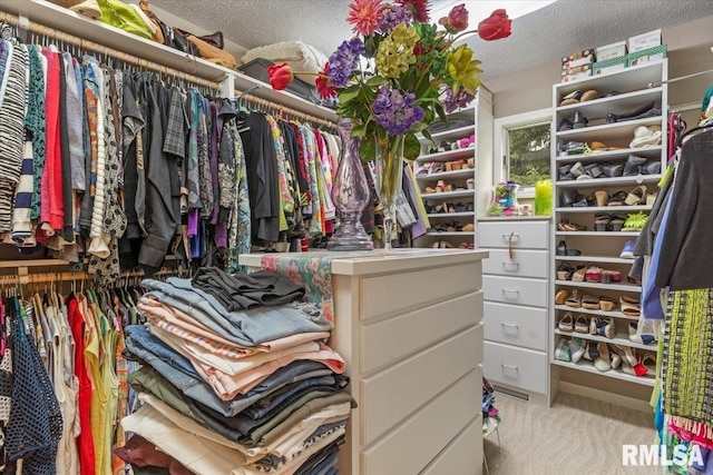 9 Windfall Ln, Cantrall, IL 62625 - walk in closet featuring carpet floors