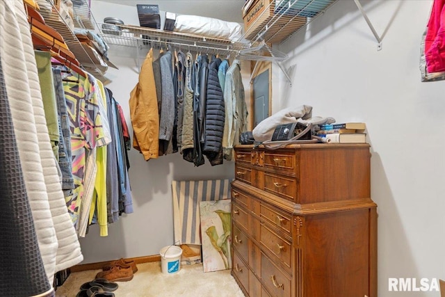 9 Windfall Ln, Cantrall, IL 62625 - walk in closet with light colored carpet