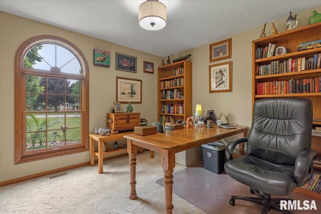 9 Windfall Ln, Cantrall, IL 62625 - office space with carpet floors and baseboards
