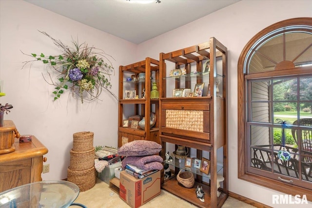 9 Windfall Ln, Cantrall, IL 62625 - view of misc room