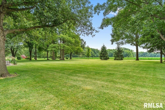 9 Windfall Ln, Cantrall, IL 62625 - view of grassy yard