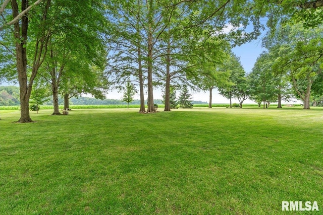 9 Windfall Ln, Cantrall, IL 62625 - view of grassy yard