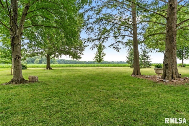 9 Windfall Ln, Cantrall, IL 62625 - view of grassy yard