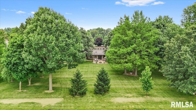 9 Windfall Ln, Cantrall, IL 62625 - view of green lawn