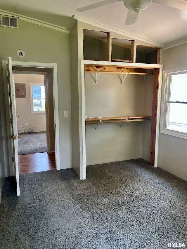 1164 Arcadia Dr, Galesburg, IL 61401 - unfurnished bedroom with carpet floors, crown molding, and a closet