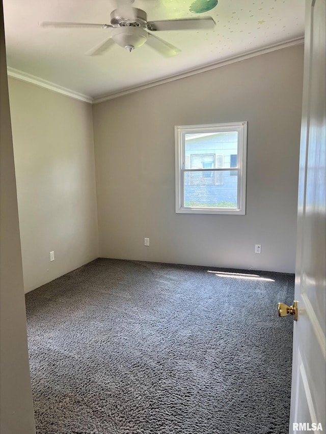 1164 Arcadia Dr, Galesburg, IL 61401 - spare room featuring carpet flooring, ornamental molding, and ceiling fan