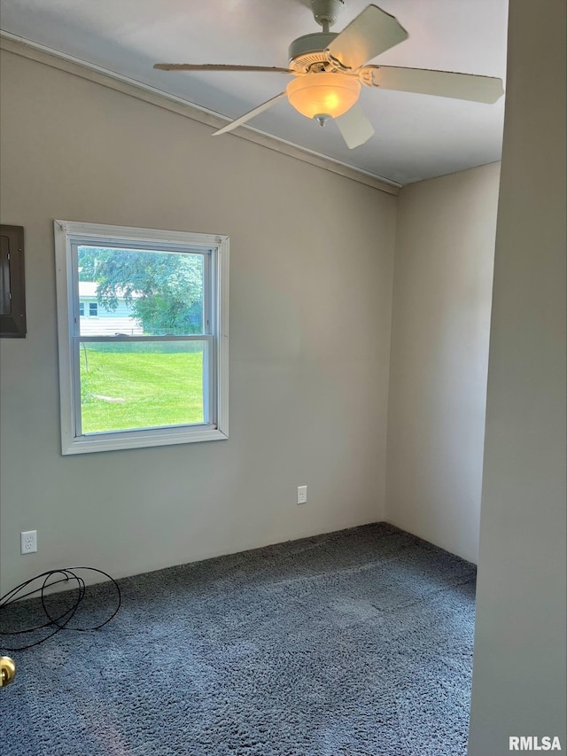 1164 Arcadia Dr, Galesburg, IL 61401 - carpeted empty room with ceiling fan