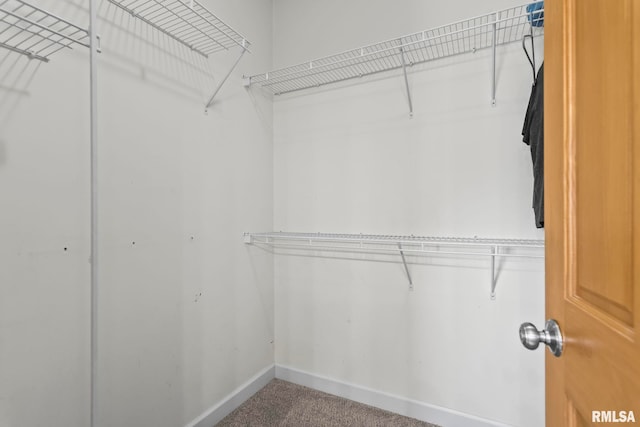 230 Possum Pass Ct, Sherman, IL 62684 - spacious closet featuring carpet
