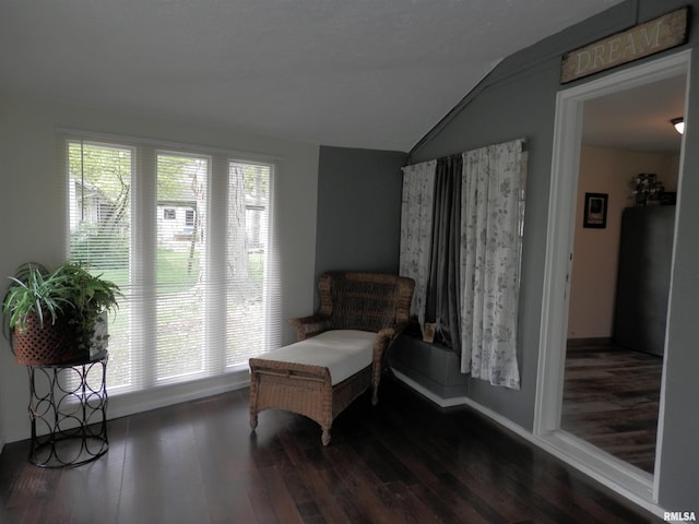 104 Henderson Rd, Knoxville, IL 61448 - living area featuring vaulted ceiling and wood finished floors