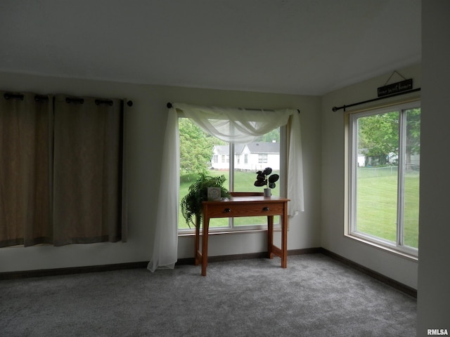 104 Henderson Rd, Knoxville, IL 61448 - spare room with carpet flooring and plenty of natural light
