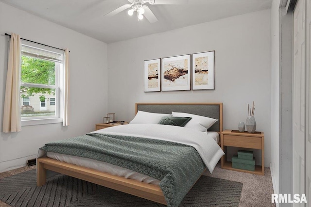 402 Linkins Ave, Tovey, IL 62570 - bedroom with carpet floors and a ceiling fan