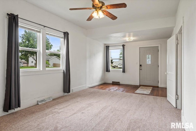 402 Linkins Ave, Tovey, IL 62570 - foyer entrance featuring carpet, healthy amount of natural light, and a ceiling fan